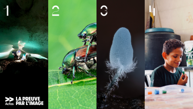 les images des récipiendaires