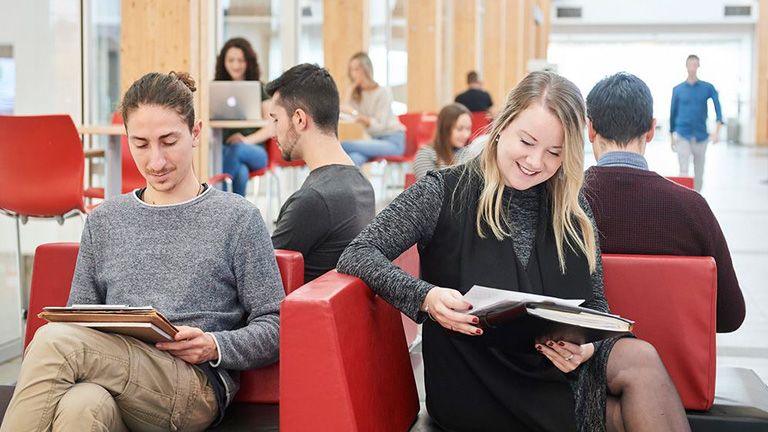 étudiants et étudiantes dans une bibliothèque